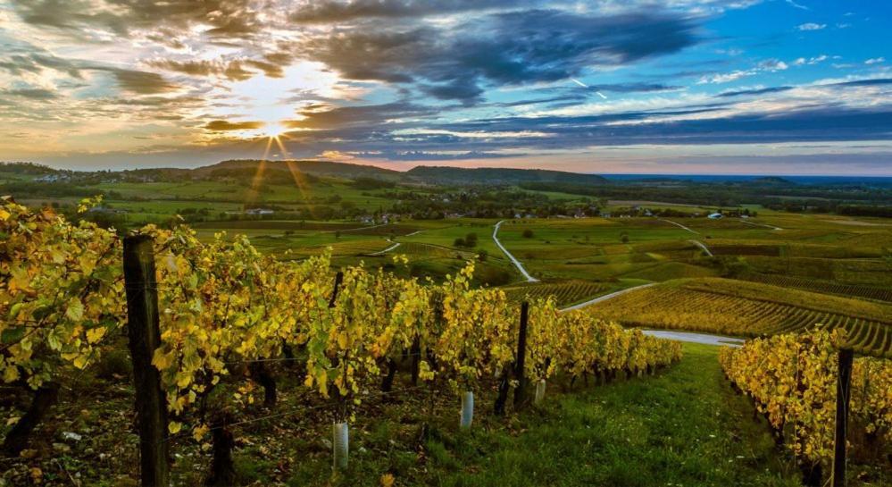 Вілла Au Bord De Seille Nevy-Sur-Seille Екстер'єр фото